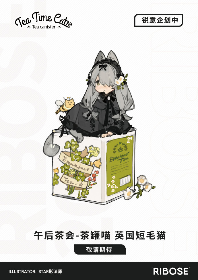 英短.jpg